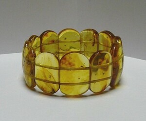  insect entering amber bar сhick amber bracele bangle 20 pcs 