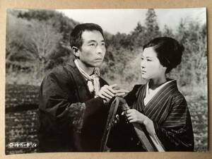 若尾文子 田村高廣 『清作の妻』 映画スチール 増村保造 1965年 大映 14 昭和の日本映画 貴重！