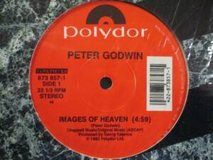 Peter Godwin - Images Of Heaven c/w Baby's In The Mountains// DISCO DANCE CLASSICS/5点で送料無料/12'' 