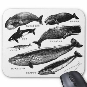  whale eyes. mouse pad ( white ground )( photo pad )