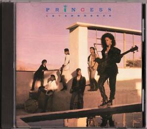 激レア PRINCESS & STARBREEZE - S/T '87 ダンクラ 傑作「DEBRA KILLINGS 在籍グループ」R&B/SOUL/FUNK/DISCO