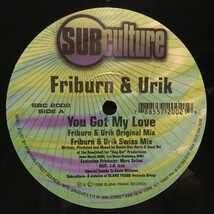 Friburn & Urik / You Got My Love_画像1