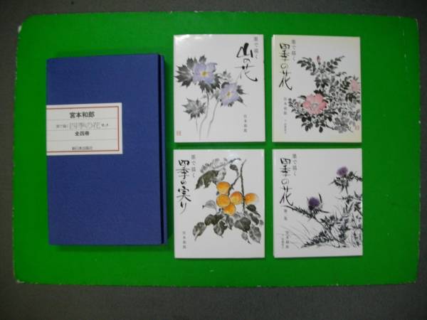 Цветы четырех времен года, нарисованные тушью, Набор из 4 томов, Кадзуо Миямото, Новые японские издатели, Рисование, Книга по искусству, Коллекция, Книга по искусству