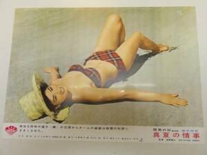 99201泉京子小山明子瞳麗子『禁男の砂真夏の情事』ロビカド