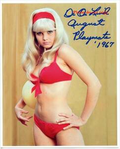 1967年 PLAYBOY誌 プレイメイト デデ・リンド 直筆サインフォト　額装済み