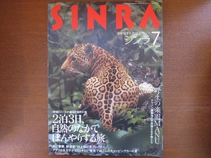 sinlaSINRA1994.7* Murakami Haruki south .. Izumi Asato Anzai Mizumaru pine .. three 