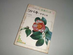 NHK hobby. gardening work 12. month camellia *sa The nka Nakamura . male * work 