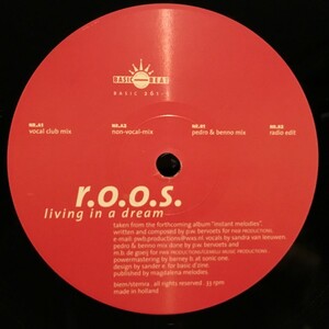 R.O.O.S. / Living In A Dream