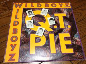 ★HIP HOP★WILD BOYZ / Q.T.PIE / DANCE TO THE MUSIC sly and the family stone