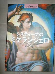 「システィーナのミケランジェロ」青木昭　小学館