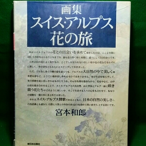 Art hand Auction 画集 スイス･アルプス花の旅 宮本和郎, 絵画, 画集, 作品集, 画集