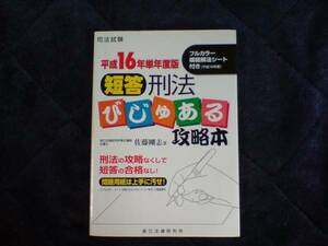 平成16年単年度版 短答 刑法 びじゅある 攻略本 佐藤剛志 辰巳
