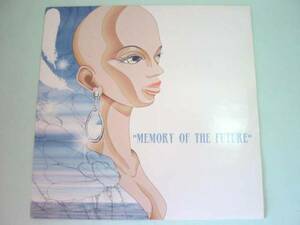 □試聴□DJ Nozawa feat Shing02 - Memory Of The Future□