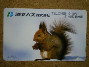 doub*ezo squirrel road north bus telephone card 