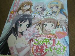 B2大 ポスター　この中に１人、妹がいる！