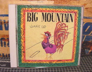 BIG　MOUNTAIN／WAKE　UP