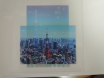 ●非売品・レア 東京タワー/東京スカイツリークリアファイル_画像2