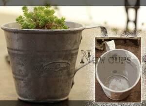 Retro cup 昭和レトロ カップのみ 鉢 ベース シャビー 観葉植物