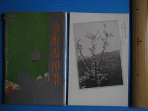 古い絵葉書（未使用）吉野新風景、昭和20年代？