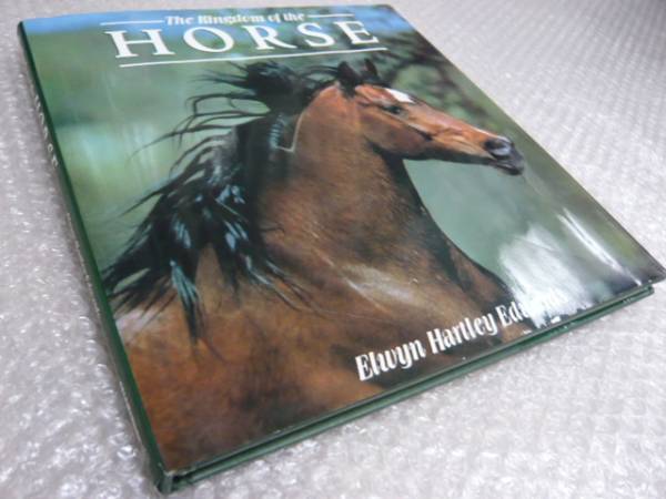 洋書◆馬の写真集 本 キングダム 乗馬 洋書◇馬の写真集 本 キングダム 乗馬 | 洋書堂
