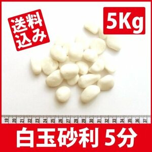 最高級ホワイト化粧砂利 5分　 5Kg 送料込（離島別途）