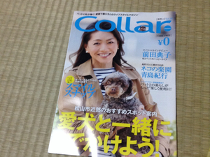  color collar dog cat booklet front rice field ..b