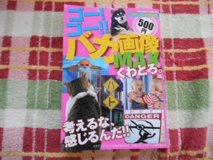 ゴーゴーバカ画像　MAX　くわとろ　コンビニ本　田52