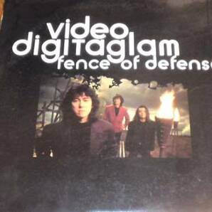 【レーザーディスク LD】video digitaglam fence of defense フェンスオブディフェンスの画像1