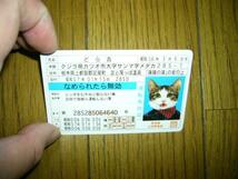 猫　なめ猫　免許証　舐め猫　カード　どら吉　みけ子　ツーリングの仲間　未使用　革のスーツ　革ジャン_画像2