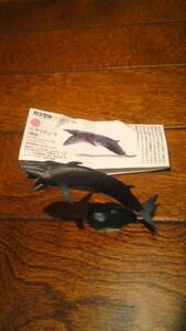 Капсула Q Японское животное ⅳ Nitari Whale (хищничество)