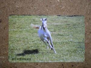 U2578* East Japan horse .... horse racing telephone card 