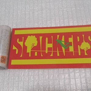 US直輸 ステッカー VOODOO Slacklines 50x102mmの画像1