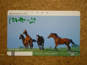 U2538* Sara bread. ......... new . horse racing telephone card 