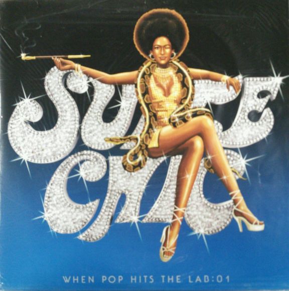 専用出品SUITE CHIC スイート・シーク 安室奈美恵 レコード2枚組 WHEN POP HITS THE FAN : Suite Chic | HMV&BOOKS online - AVCD