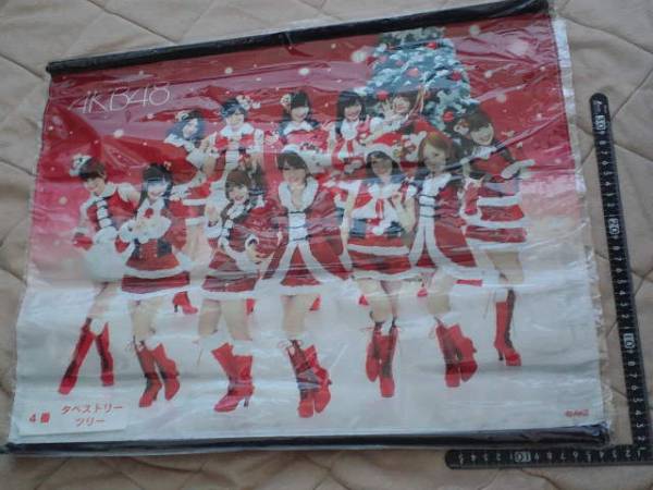 AKB48 非売品 タペストリー2種類 2025年最新】Yahoo!オークション -akb48 タペストリー(人