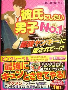 《美品!ケータイ小説》彼氏にしたい男子No.1/acomaru