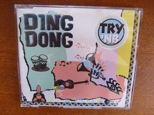 TRY'NB／DING DONG●CDシングル マナマナ使いポップダンスラップ