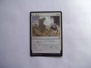 バイン　MTG 真っ逆さま/Sheer Drop foil 日本語1枚