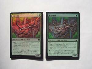 バイン　MTG 水辺の蜘蛛/Aquastrand Spider foil 日本語2枚