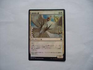 バイン　MTG 護衛隊の翼/Wings of the Guard foil 日本語1枚