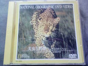 DVD National geo графика Beauty and the Beast леопард . бородвка inosi