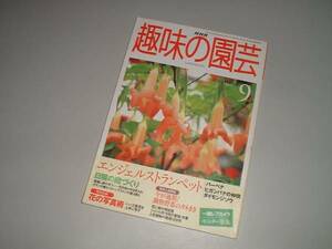 ＮＨＫ趣味の園芸　1999-9