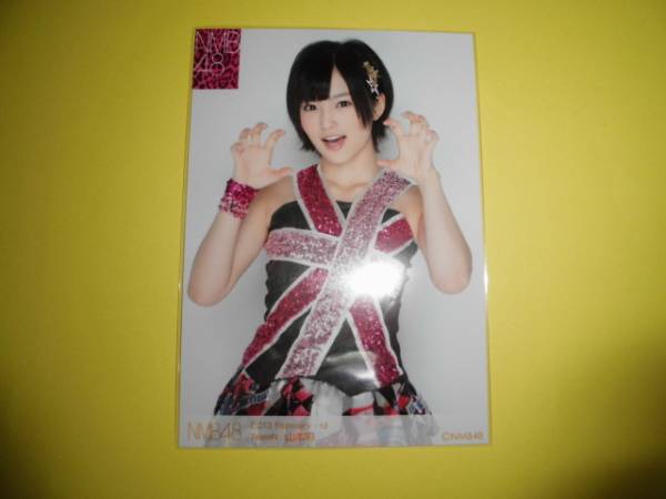 生写真(AKB48・SKE48)/アイドル/NMB48 ② ： 山本彩/2013.June