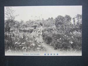 蒲田■蒲田菖蒲園■KAMATA IRIS GARDEN.■1910年