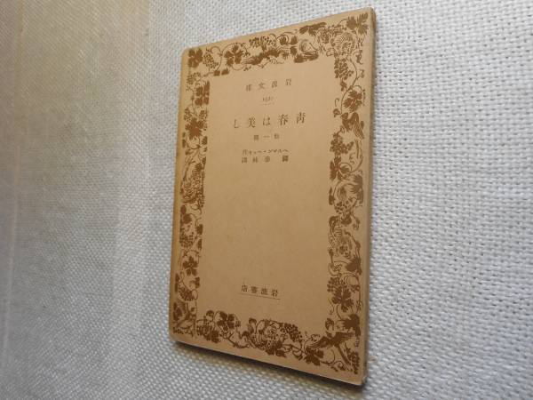 2025年最新】Yahoo!オークション -岩波文庫 絶版(本、雑誌)の