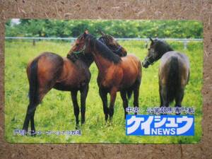 U2305* Kei shuu. another telephone card 