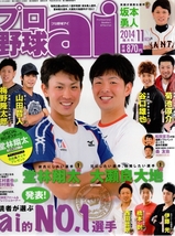 雑誌プロ野球ai 2014/11月号★堂林翔太＆大瀬良大地/坂本勇人/谷口雄也/山田哲人/梅野隆太郎/菊池涼介/伊藤光/橋本到/西田哲朗/松田宣浩★_画像1