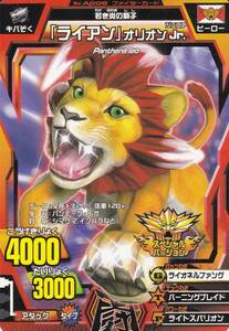 * Great Animal Kaiser promo Ryan new goods *