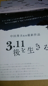3.11 after . raw ..* movie leaflet 