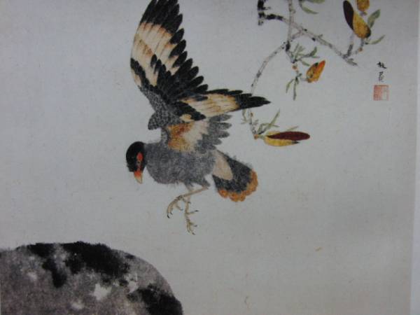 Kosugi Hoan, Frühlingsvogel, Aus einem seltenen großformatigen Kunstbuch, Brandneu, hochwertig gerahmt, Malerei, Ölgemälde, Porträt